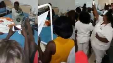 Video of bird which turned into woman after falling in hospital room pops up