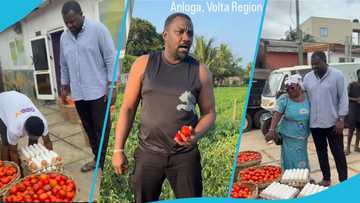John Dumelo buys tomatoes for caterers in Ayawaso West Wuogun, shares plans to build processing factory