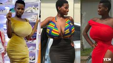 7 times Ghanaian model broke the internet with her heavy chest (Photos)