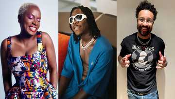 Stonebwoy hints at dropping new 5th Dimension documentary, features exclusives with Shaggy