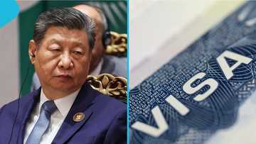 China names 7 categories of foreigners eligible for permanent residence
