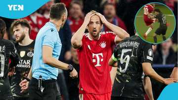 Why Bayern were denied penalty after Neves' handball in Champions League match