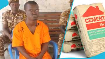 "Shortest man in Kasoa" jailed ten years for stealing a cement bag, shows remorse in touching video
