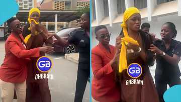 Footage of NPP TikToker Bawumia Ba fighting with bloggers at court premises trends, video