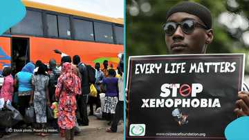 Nigerian Government Launches Voluntary Return Initiative Amid Safety Concerns in South Africa