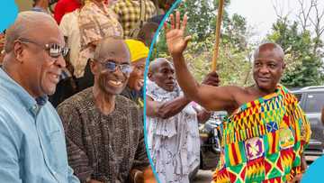 Mahama running mate: Togbe Afede XIV pours water on links to NDC ticket