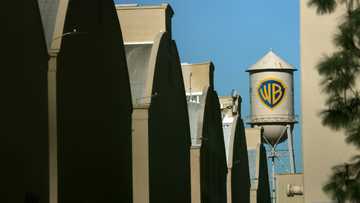 Netflix's Warner Bros. acquisition sparks backlash