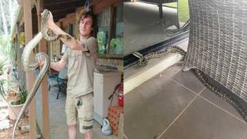 Man Escapes Snake Bite, Sympathises with It: “They Don’t Know Their Strength”