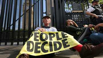 Climate activists target UK parliament