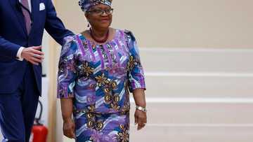 Tariff war could cut US-China goods trade by 80 percent: WTO chief