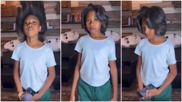 Adorable Black girl shows off her natural hair; video melts hearts: "Who is her stylist?"