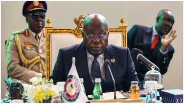 Africans deserves reparations for slave trade - Akufo-Addo