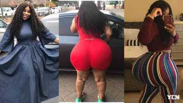 Year of Return lady with double of Moesha's backside causes another human traffic in Accra; fans chase her with their phones (photos, videos)