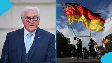 Germany Lists 4 Civilian Jobs Foreigners Can Apply for Without German Citizenship
