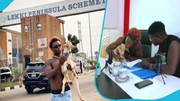 AY Poyoo gets new deal in Nigeria, signs the contract with his pet goat