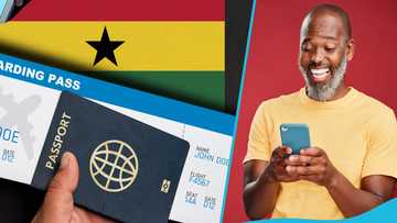 Ghanaians travelling to South Africa can now apply for visas online: High Commission announces new protocols