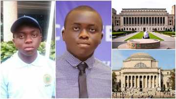 Black teen who had highest UTME score in 2019 gets scholarship from US school, set to relocate abroad