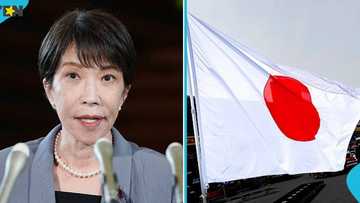 Japan announces16 work visa categories for foreign nationals seeking employment