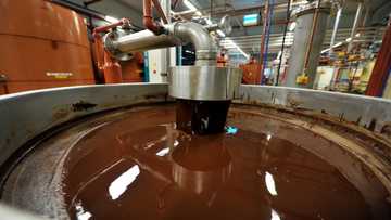 Barry Callebaut cuts outlook as chocolate sales volumes melt away
