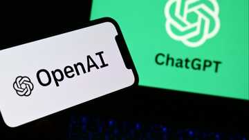 German court rules against OpenAI in copyright case