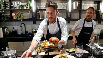 SuperMeat: Israeli Restaurant Cooks Up Tasty Lab Grown Meat Products