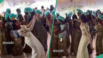 "Hot steppers": Bride and asoebi ladies display classy attire & exciting dance moves, wows netizens