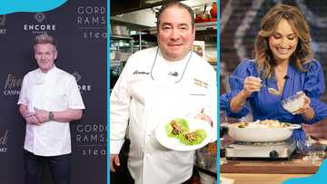 Top 25 Famous chefs who redefined cooking on TV, in restaurants, and beyond