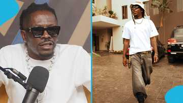 "Herh, tactics paa nie": Fans believe Stonebwoy pulled a clever move amid Shatta Wale feud