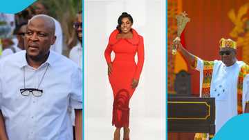 Nana Aba Anamoah sparks reactions on social media as she wades into Ibrahim Mahama private jet saga