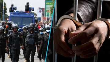 Police arrest two suspects in connection with murder of Lebanese national