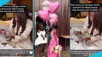 Dulcie Boateng gifts best friend $10k, organises GH₵ 40k location for birthday brunch, video trends