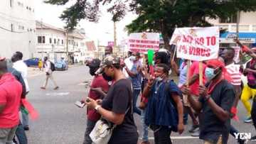 Public sector workers do not deserve salary increment - NPP man boldly declares with explanation