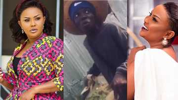Nana Ama McBrown shows support for man selling Hisense Coconut in new video