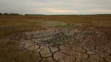 Disasters cause $3.8 tn in crop loses over 30 years: FAO