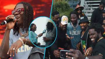 Stonebwoy speaks after his 3rd Summerjam festival performance in Germany