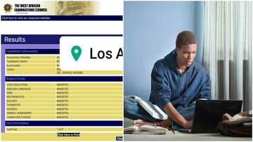 "Evil people": Student who sat for 2023 WAEC exam gets rare result after checking website, angers Nigerians