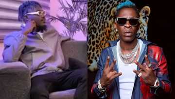 'Investors see us as jokers because Shatta Wale speaks anyhow' - Camidoh boldly says in video
