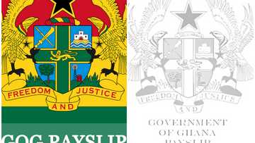 GOG payslip in Ghana: Full guide on how to register, activate, check & print e-payslip