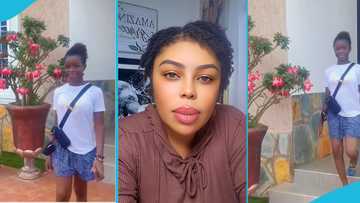 Afia Schwarzenegger's daughter looks big and beautiful as she catwalks in new video, Ghanaians swoon, video