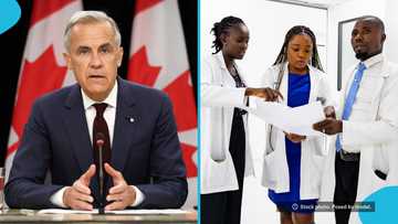Canada announces openings for skilled healthcare workers, list of eligible roles emerges