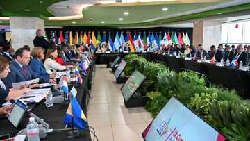 Strength in numbers: Latin America urges unity in face of Trump tariffs