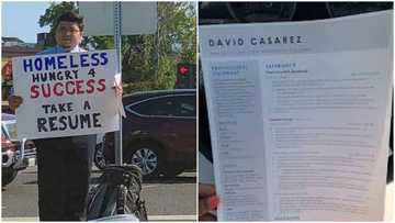 Man hits street with placard and CVs in search of job; gets over 200 offers