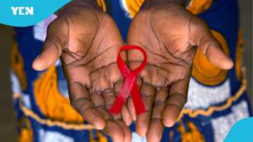 "About 45 people contract HIV every day in Ghana": President of AIDS network says