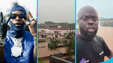 Kwadwo Sheldon reacts to Shatta Wale's diss song after he rejected his help, video