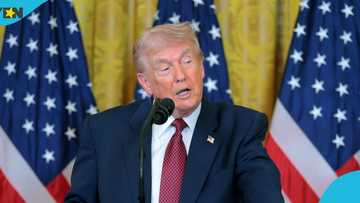 US government moves 445,000 asylum cases to court as approvals drops
