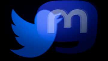 Musk delays Twitter relaunch after fake account frenzy