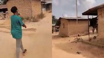 Please come back to school - Ghanaian teachers in village beg students from house to house