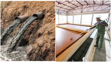 Namibia transforms sewage into drinkable water to solve water crisis