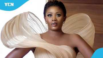 Nana Akua Addo: Eldest Daughter Jesusa Refuses Custody, Confronts Fashion Icon in Tense Video