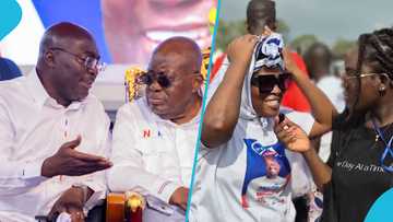 A fake NPP supporter spotted at the NPP rally, video trends as she says ɛyɛ zu, video trends